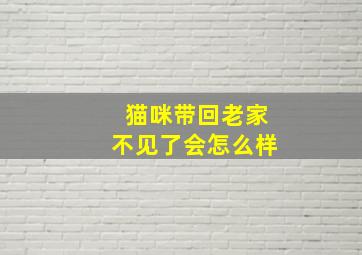 猫咪带回老家不见了会怎么样