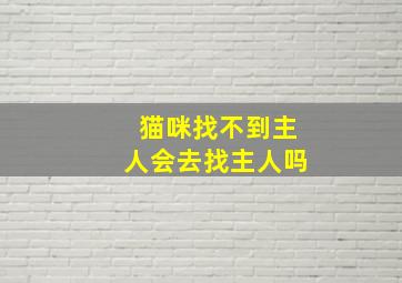 猫咪找不到主人会去找主人吗