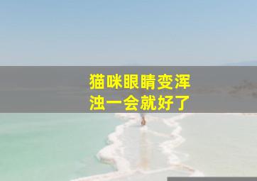 猫咪眼睛变浑浊一会就好了