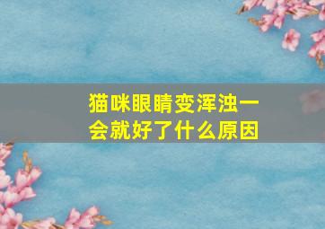 猫咪眼睛变浑浊一会就好了什么原因