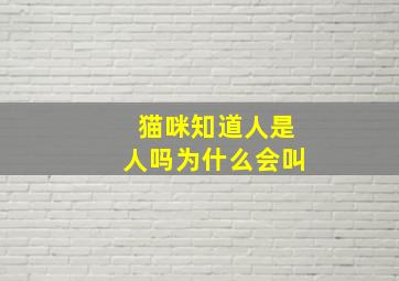 猫咪知道人是人吗为什么会叫