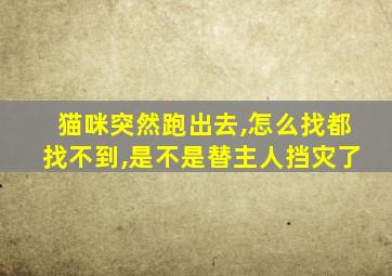 猫咪突然跑出去,怎么找都找不到,是不是替主人挡灾了