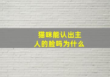 猫咪能认出主人的脸吗为什么