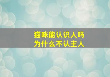 猫咪能认识人吗为什么不认主人