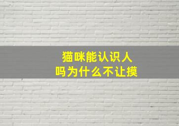 猫咪能认识人吗为什么不让摸