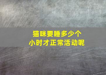 猫咪要睡多少个小时才正常活动呢