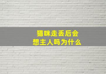 猫咪走丢后会想主人吗为什么