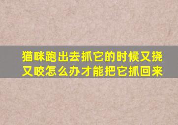 猫咪跑出去抓它的时候又挠又咬怎么办才能把它抓回来