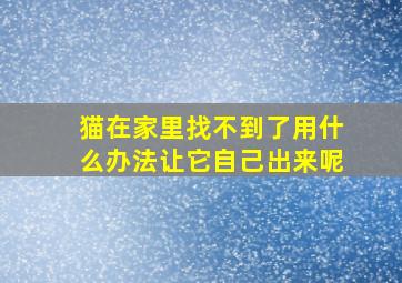 猫在家里找不到了用什么办法让它自己出来呢