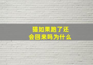 猫如果跑了还会回来吗为什么