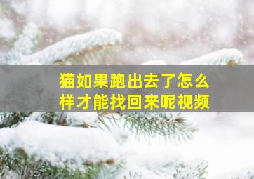 猫如果跑出去了怎么样才能找回来呢视频