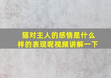 猫对主人的感情是什么样的表现呢视频讲解一下