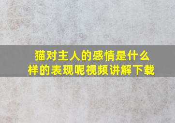 猫对主人的感情是什么样的表现呢视频讲解下载