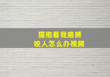 猫抱着我胳膊咬人怎么办视频