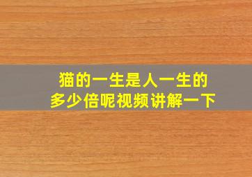 猫的一生是人一生的多少倍呢视频讲解一下