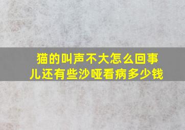 猫的叫声不大怎么回事儿还有些沙哑看病多少钱