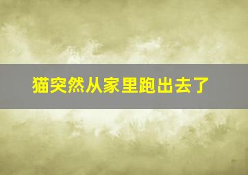 猫突然从家里跑出去了