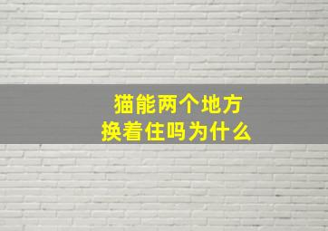 猫能两个地方换着住吗为什么