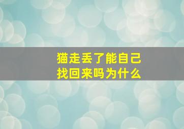 猫走丢了能自己找回来吗为什么