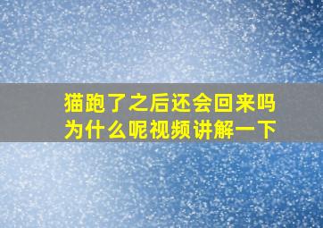 猫跑了之后还会回来吗为什么呢视频讲解一下