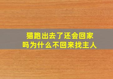 猫跑出去了还会回家吗为什么不回来找主人