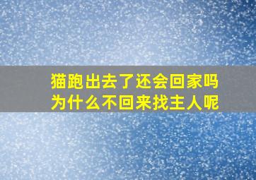 猫跑出去了还会回家吗为什么不回来找主人呢