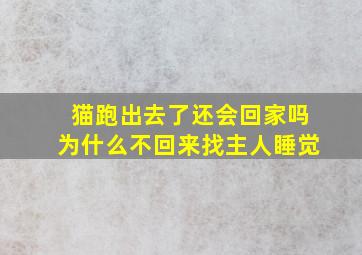 猫跑出去了还会回家吗为什么不回来找主人睡觉