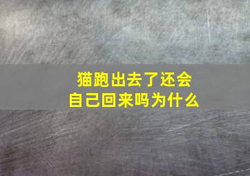 猫跑出去了还会自己回来吗为什么