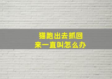 猫跑出去抓回来一直叫怎么办