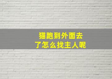 猫跑到外面去了怎么找主人呢