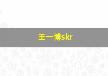 王一博skr