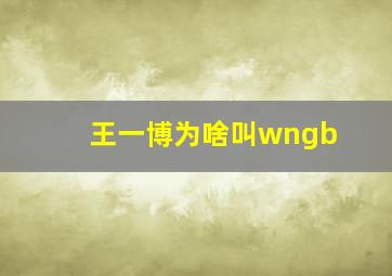 王一博为啥叫wngb