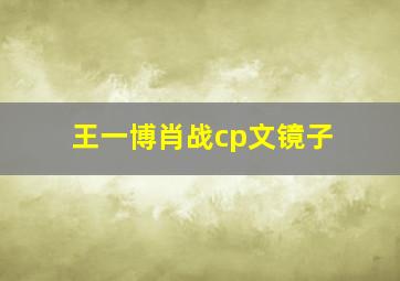 王一博肖战cp文镜子