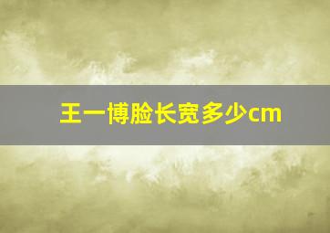 王一博脸长宽多少cm