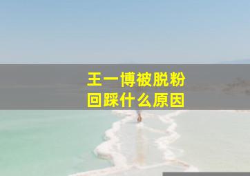 王一博被脱粉回踩什么原因