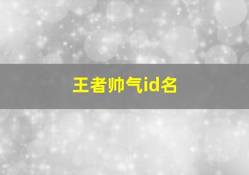 王者帅气id名