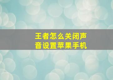 王者怎么关闭声音设置苹果手机