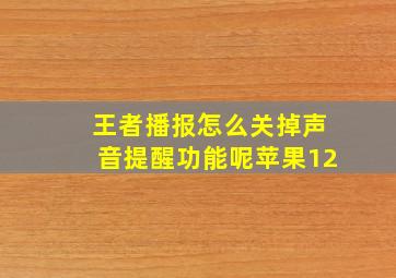 王者播报怎么关掉声音提醒功能呢苹果12