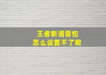 王者新语音包怎么设置不了呢