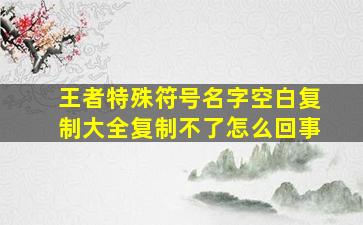 王者特殊符号名字空白复制大全复制不了怎么回事