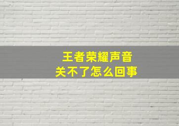 王者荣耀声音关不了怎么回事