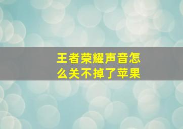 王者荣耀声音怎么关不掉了苹果