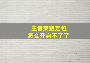 王者荣耀定位怎么开启不了了