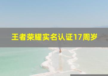 王者荣耀实名认证17周岁