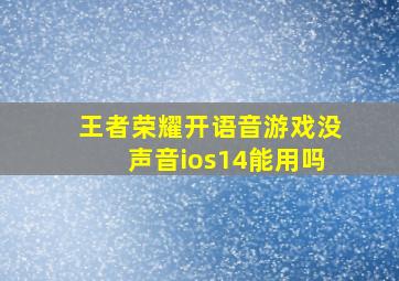 王者荣耀开语音游戏没声音ios14能用吗