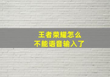 王者荣耀怎么不能语音输入了