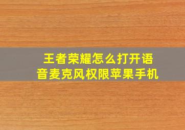 王者荣耀怎么打开语音麦克风权限苹果手机