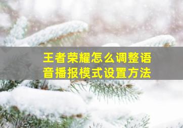 王者荣耀怎么调整语音播报模式设置方法