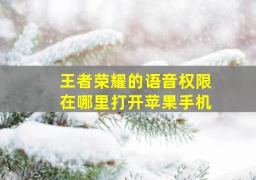 王者荣耀的语音权限在哪里打开苹果手机