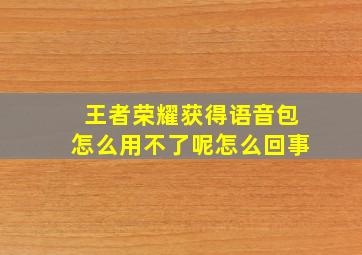 王者荣耀获得语音包怎么用不了呢怎么回事